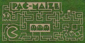 Corn Maze 🌽 – Van Buren Acres