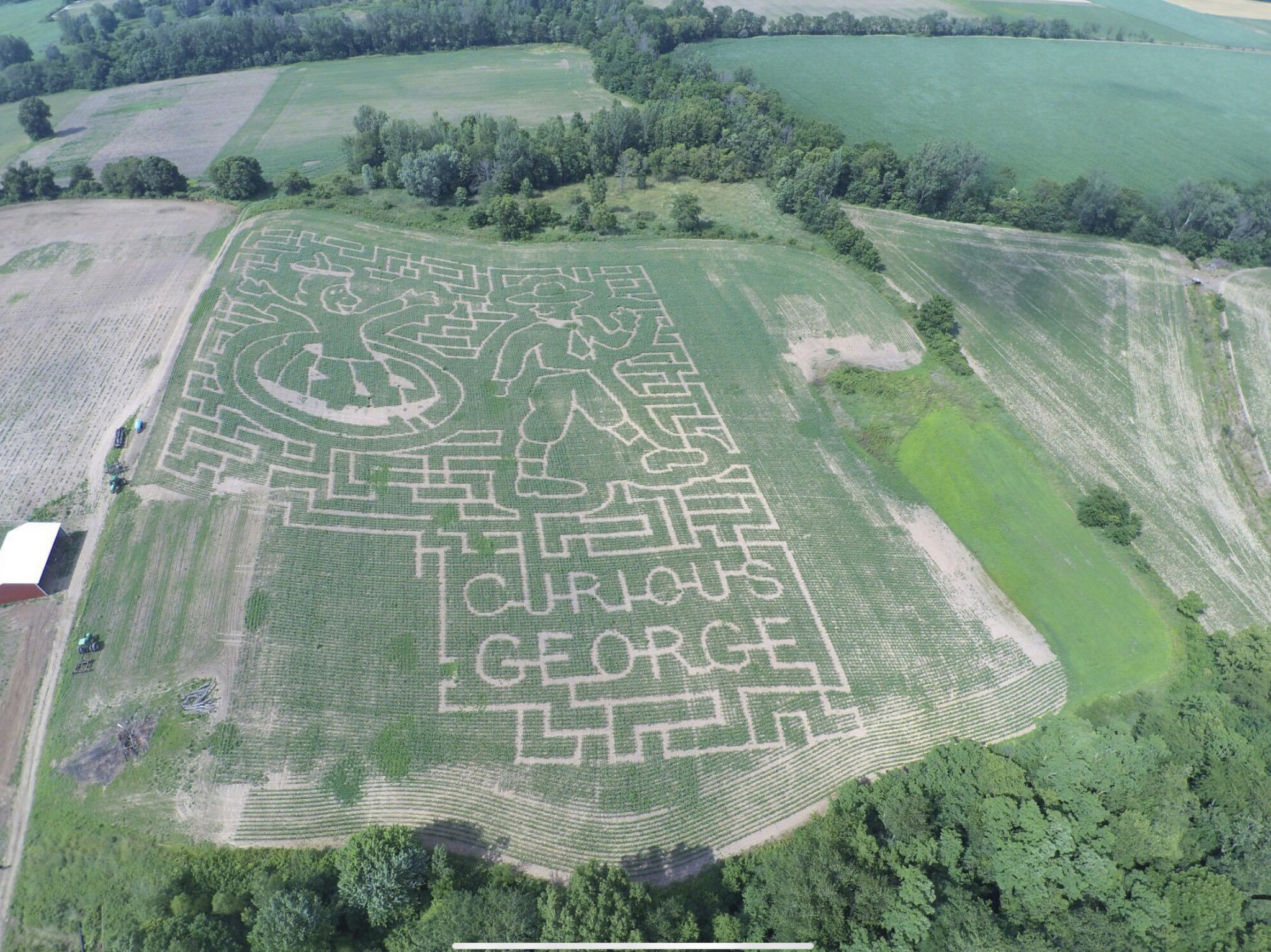 Corn Maze 🌽 – Van Buren Acres