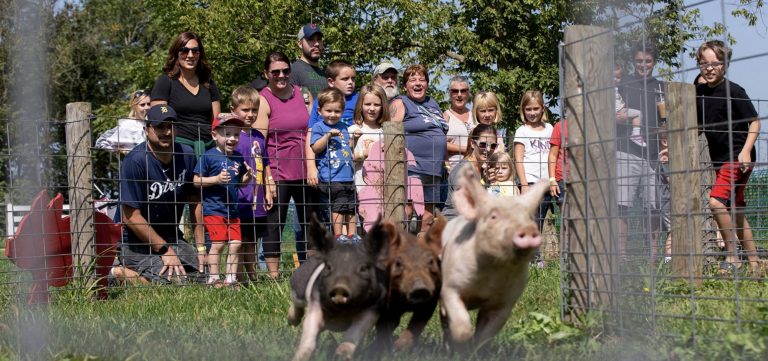 Van Buren Acres – Welcome To Our Family Owned And Operated Corn Maze ...