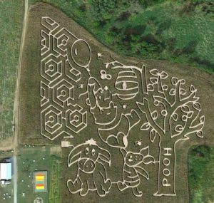 Corn Maze 🌽 – Van Buren Acres